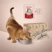   Club 4 Paws          85 