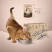   Club 4 Paws           80 