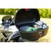 Coleman   Biker - 220x80 (053-L0000-2000009574-33) (M-1257345)