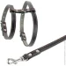 Collar -    1,6120 , 