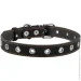 Collar   2,560  244