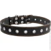 Collar   3,569  