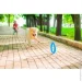 Игрушка для собак Collar PitchDog Кольцо для апартовки 17 см голубое (62362) Игрушка для собак Collar PitchDog Кольцо для апартовки 17 см голубое (62362)