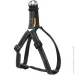 Collar  Dog Extreme  ,  ,  (06671)