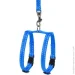 Collar  Dog Extreme       ,  ,  (07012)
