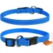 Collar Нашийник Dog Extreme нейлоновий регульований для котів та собак дрібних порід, розмір XS, 23-35 см, 14 мм, блакитний (01572) Collar Нашийник Dog Extreme нейлоновий регульований для котів та собак дрібних порід, розмір XS, 23-35 см, 14 мм, блакитний (01572)