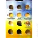 Collection (  ) - Collection        10   (hub_8ooo42)