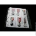 Collection (  )      Collection 22526545   (hub_x7wp2t)