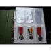 Collection (  )      Collection 22526545   (hub_x7wp2t)