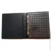 Collection (  )    Collection    610   (hub_m673m4)