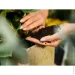 Compo Торфосуміш Complete 10 л (7317) Compo Торфосуміш Complete 10 л (7317)
