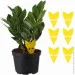  Comshop   -      25  (LPL-25)