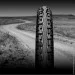  Continental Tires 101179