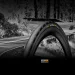  Continental Tires 150470