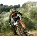 Continental Tires  Continental Race King, 29 x 2.20, ,    skin (150435)