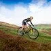 Continental Tires  Continental Race King, 29 x 2.20, ,    skin (150435)