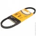   Contitech 10X600