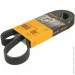   Contitech 6PK1847EXTRA