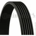   Contitech 6PK2445