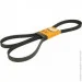   Contitech 6PK2581