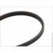   Contitech  () CONTI-V MULTIRIB (3PK890)