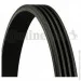   Contitech  () CONTI-V MULTIRIB (4PK780)