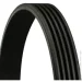   Contitech  () CONTI-V MULTIRIB (5PK1225)