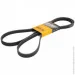   Contitech  () CONTI-V MULTIRIB (5PK2060)