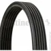   Contitech  () CONTI-V MULTIRIB (6DPK1195)