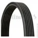   Contitech  () CONTI-V MULTIRIB (6DPK1215)
