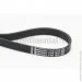   Contitech  () CONTI-V MULTIRIB (6PK1070)