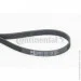   Contitech  () CONTI-V MULTIRIB (6PK1130)
