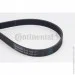   Contitech  () CONTI-V MULTIRIB (6PK1180)