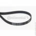  Contitech  () CONTI-V MULTIRIB (6PK1200)