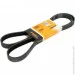   Contitech  () CONTI-V MULTIRIB (6PK1613)
