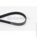   Contitech  () CONTI-V MULTIRIB (6PK1780)