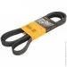   Contitech  () CONTI-V MULTIRIB (6PK2077)