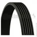   Contitech  () CONTI-V MULTIRIB (6PK2236)