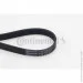   Contitech  () CONTI-V MULTIRIB (6PK976)