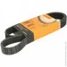   Contitech  () CONTI-V MULTIRIB (7PK1145)