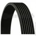   Contitech  () CONTI-V MULTIRIB (7PK1153)