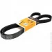   Contitech  () CONTI-V MULTIRIB (7PK1687)