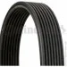   Contitech  () CONTI-V MULTIRIB (8DPK1833)