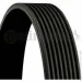   Contitech  () CONTI-V MULTIRIB (8PK2290)