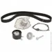   Contitech CT1035WP1