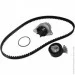   Contitech CT1067WP1