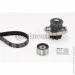   Contitech CT1115WP1