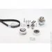   Contitech CT1139WP6