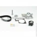   Contitech CT1184WP1