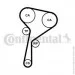   Contitech CT1184WP1